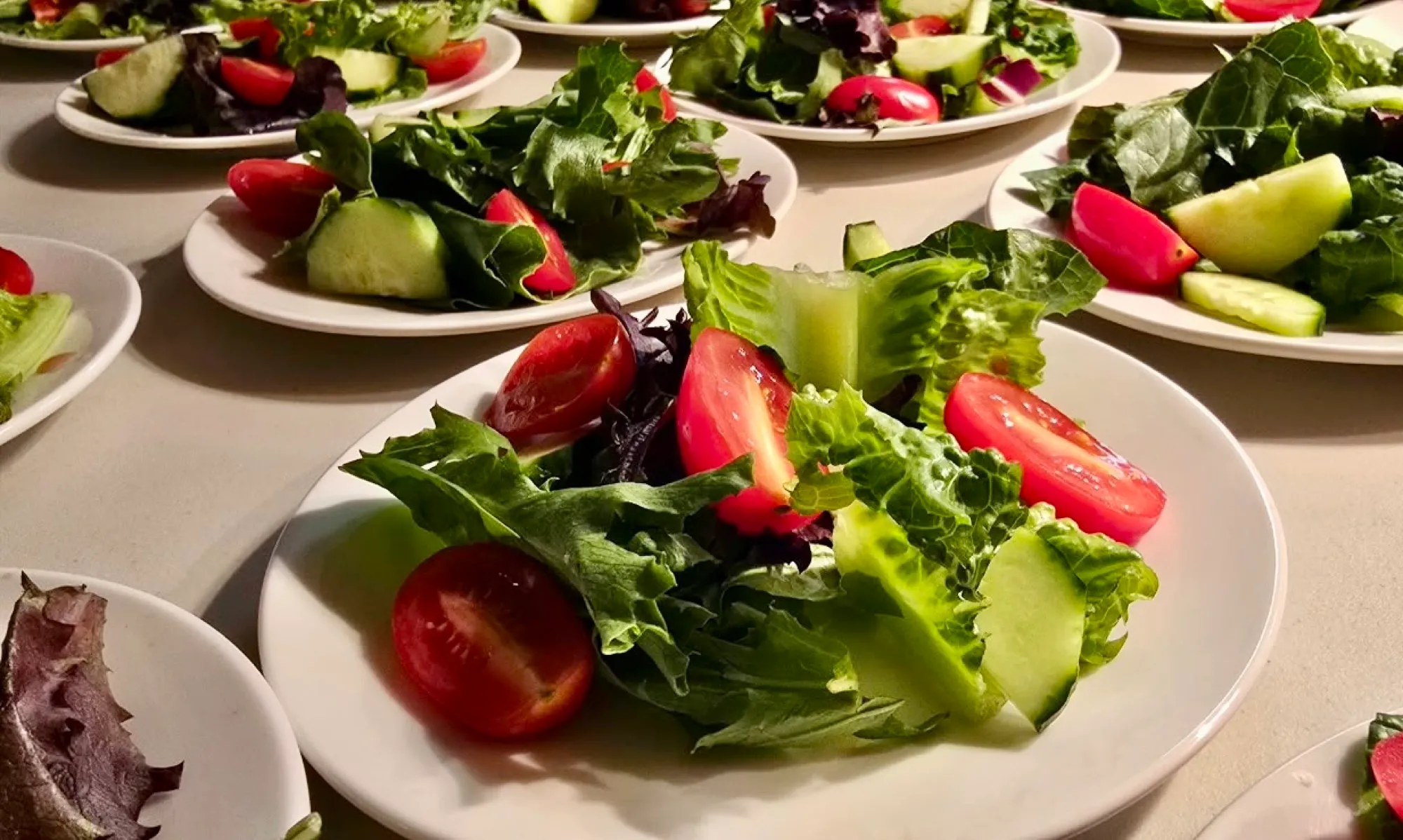 Garden salad with tomatoes and cucumber, plated and ready to serve.